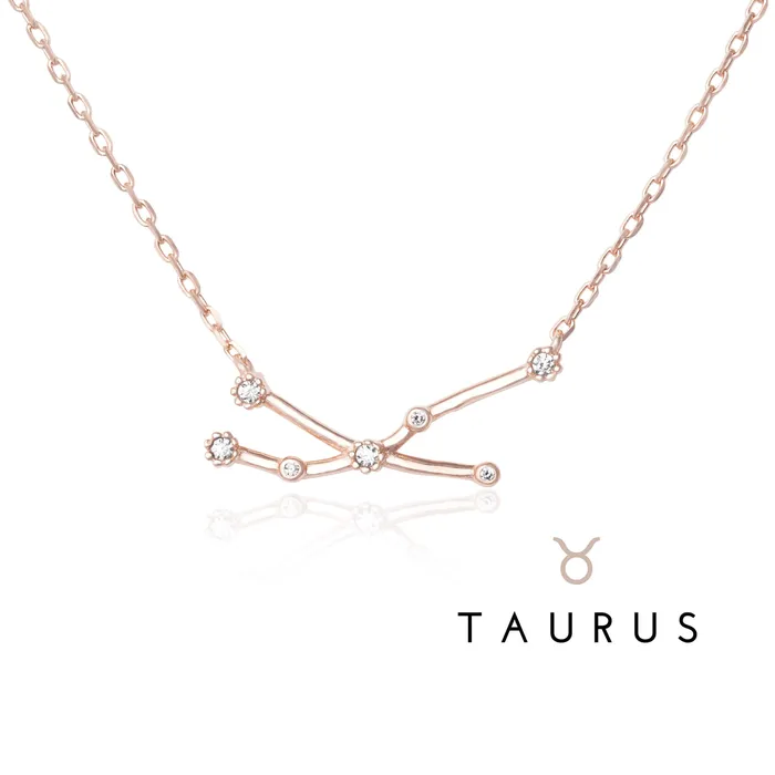 Teeda NZ7015 Zodiac Constellation CZ Charm and Necklace Set Necklaces