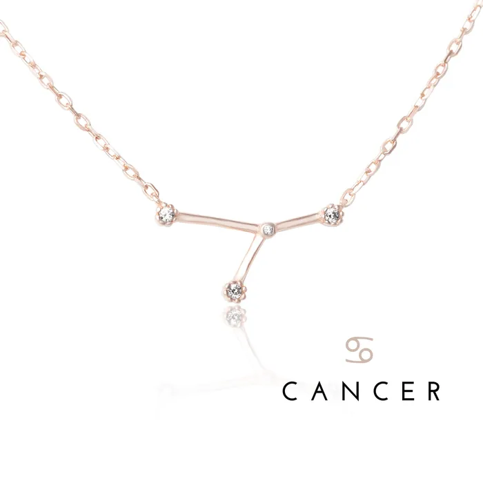 Teeda NZ7015 Zodiac Constellation CZ Charm and Necklace Set Necklaces